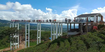“Terbang Tinggi di Atas Kebun Teh: Eksplorasi Megah di Jembatan Kaca Kemuning Sky Hills, Karanganyar”