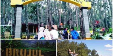 “Nikmati Pesona Alam & Wahana Seru di Brujul Adventure Park”