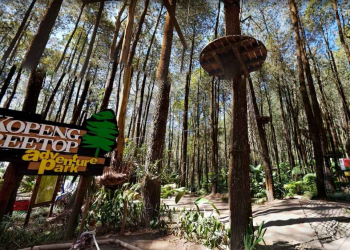 “Seru-Seruan di Kopeng Treetop: Wahana Adrenalin, Sky Resto, dan Camping”