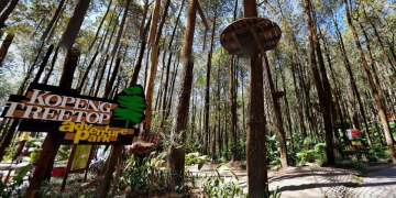 “Seru-Seruan di Kopeng Treetop: Wahana Adrenalin, Sky Resto, dan Camping”