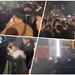 “Konser di Sam Poo Kong Semarang Ricuh, Penonton Jebol Pagar Gate”